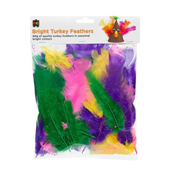 EC Brights Turkey Feathers