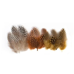 EC Guinea Fowl Feathers Natural